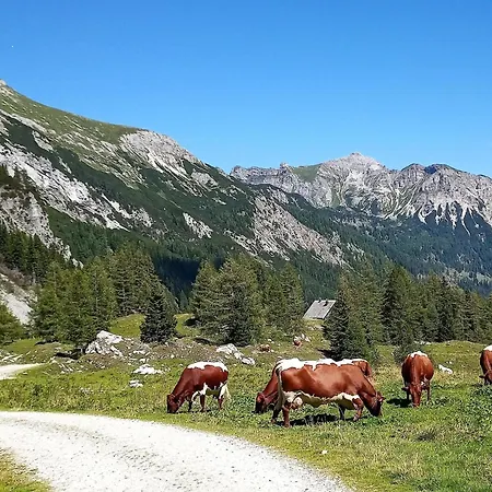 木屋 Wolfgangchalet B 毛特恩多夫