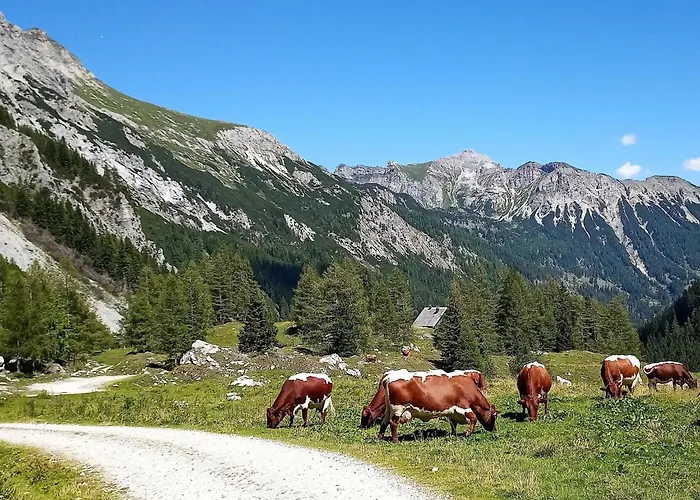 Domek alpejski Wolfgangchalet B Mauterndorf (Salzburg)