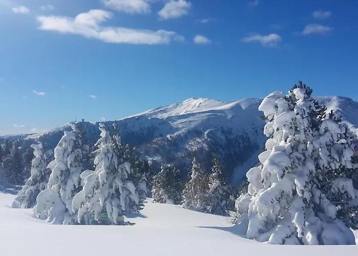 Wolfgangchalet B * Mauterndorf (Salzburg)