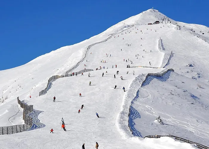Domek alpejski Wolfgangchalet B *